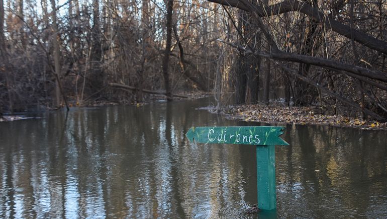 Crecida del río: los paseos que cerraron y no se pueden visitar