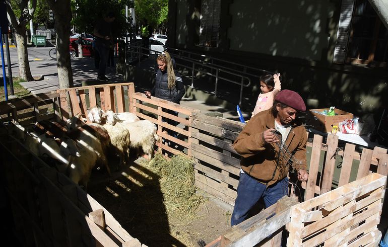 Los crianceros que denuncian a Guillermo Coco, volvieron a la gobernación con chivas