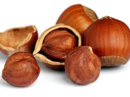 avellanas: el nuevo suplemento saludable que transforma el mercado argentino avellanas: el nuevo suplemento saludable que transforma el mercado argentino