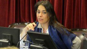 Crexell, la senadora que más viajó al exterior en 2018