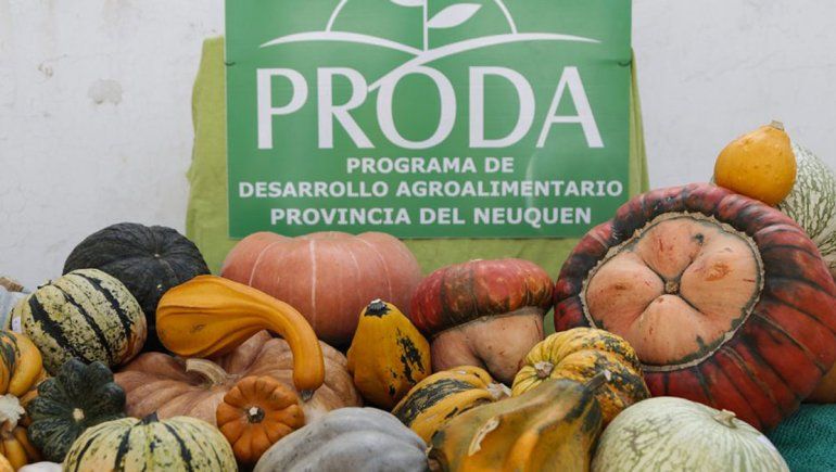 Relanzan atractivo certamen productivo