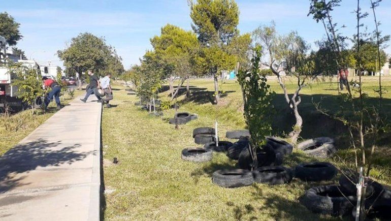 La Muni tuvo que sacar 150 neumáticos de una plaza