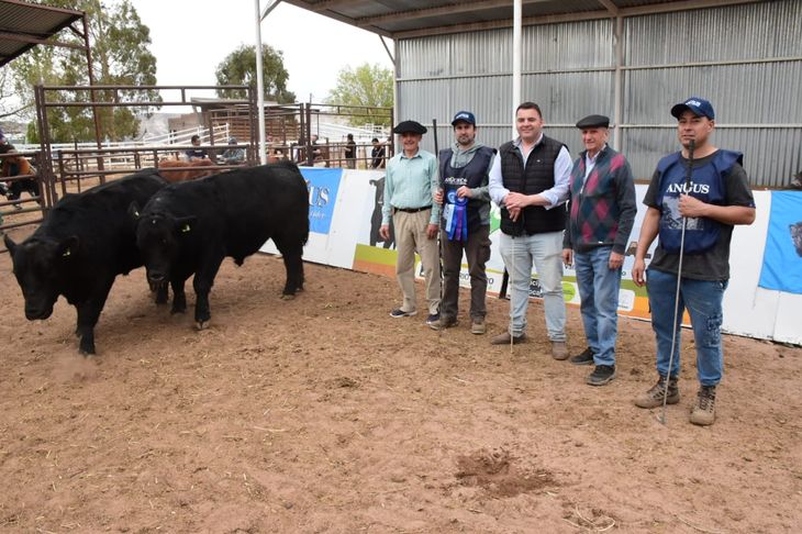 Los productores resaltaron el avance del sector forrajero en la provincia. Foto: Federación de Sociedades Rurales de Río Negro. Los productores resaltaron el avance del sector forrajero en la provincia. Foto: Federación de Sociedades Rurales de Río Negro.