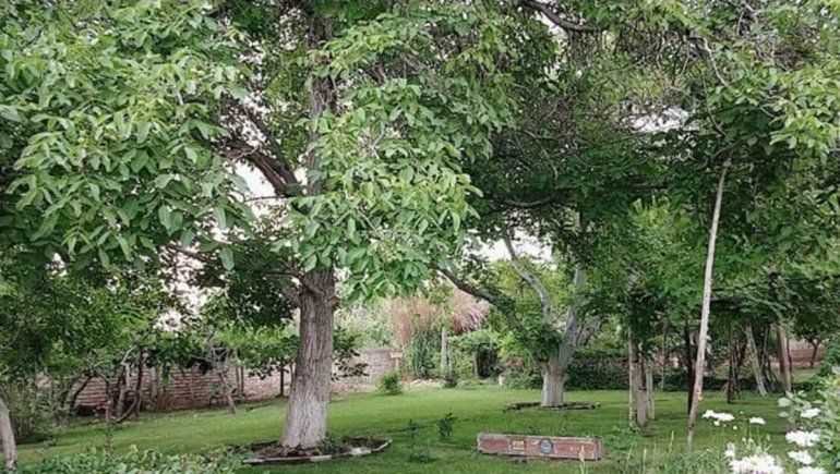 Las apariciones son constantes en algunos lugares.