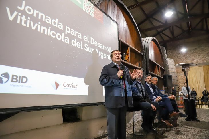 Destacan el enorme potencial que tienen los Vinos de la Patagonia