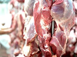 Se espera que las exportaciones, en volumen, sigan creciendo durante 2024 Se espera que las exportaciones, en volumen, sigan creciendo durante 2024