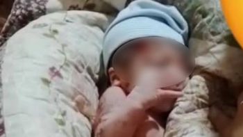 emocionante: rescato a una beba recien nacida que fue abandonada y la amamanto emocionante: rescato a una beba recien nacida que fue abandonada y la amamanto