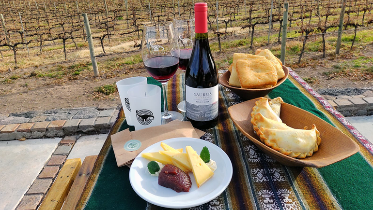 Un picnic típico en la Bodega Familia Schroeder