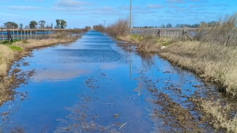Si hay pagos anticipados, las empresas constructoras deben presentar aval bancario o seguro de caución. Foto: zonacampo.com.ar | LM Neuquen Si hay pagos anticipados, las empresas constructoras deben presentar aval bancario o seguro de caución. Foto: zonacampo.com.ar