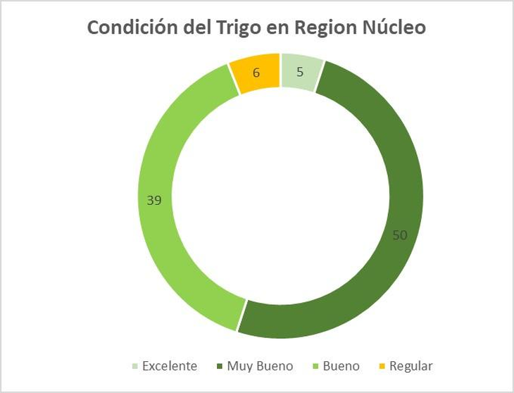 La región núcleo lleva un progreso del 5%. Gráfico: BCR La región núcleo lleva un progreso del 5%. Gráfico: BCR