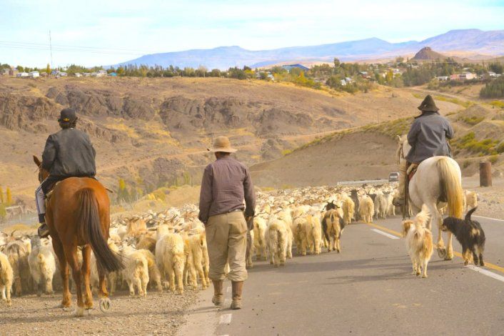 Criancieros, también afectados por el coronavirus