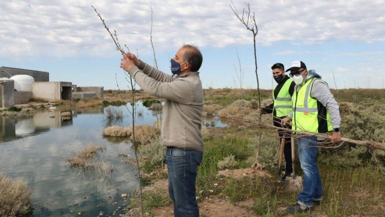 La Muni reutiliza aguas residuales para crear un bosque