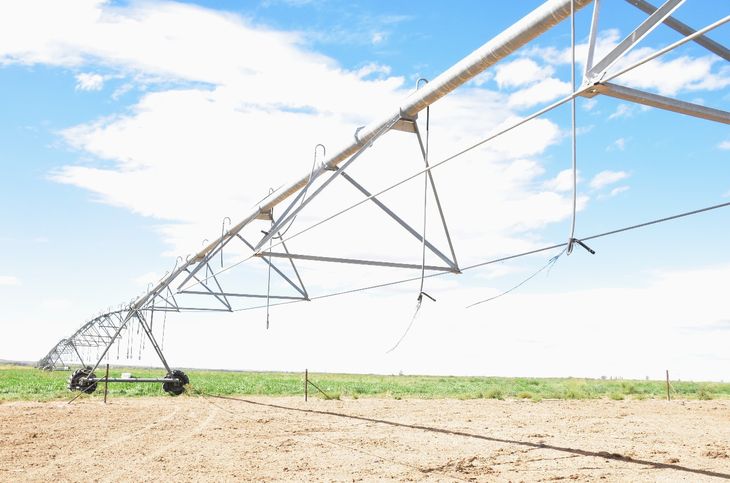 “Pensamos que no solo se debería aplicar riego por aspersión, tipo pivot, sino también riego por goteo “Pensamos que no solo se debería aplicar riego por aspersión, tipo pivot, sino también riego por goteo