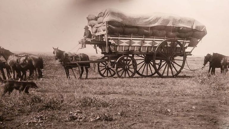 Una foto de cosecha con la impronta de los pioneros de Neuquén