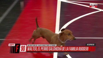 ¡casi lo muerde!: el perro de ruggeri le hizo pegar gran susto al pollo vignolo ¡casi lo muerde!: el perro de ruggeri le hizo pegar gran susto al pollo vignolo