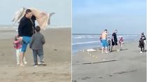 ¿que dijo el hombre que fue filmado llevandose un delfin de la playa?