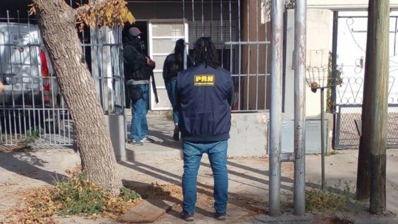 Buscaban un celular y se encontraron con una plantación de marihuana