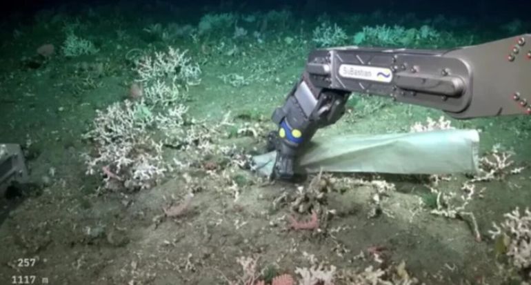 El streaming permitió seguir en tiempo real las exploraciones científicas en zonas profundas del Mar Argentino.