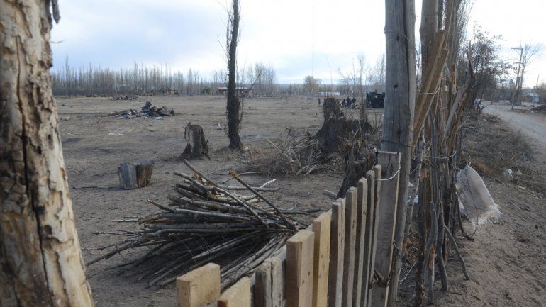 El adolescente fue hallado por su tío mayor deambulando sobre calle Batilana al fondo