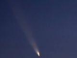 Así se ve el cometa del siglo en Zapala. (Foto: Dario Martínez).