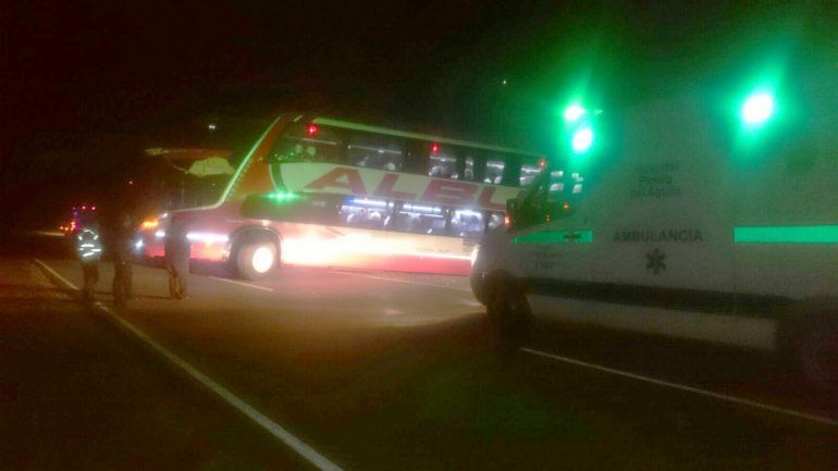 Sin heridos al chocar un camión contra un colectivo en la Ruta 237