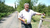 Horacio Pierdominici, productor frutícola de Cipolletti.