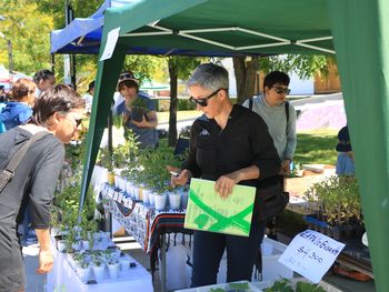 se viene la feria de agricultura urbana neuquina