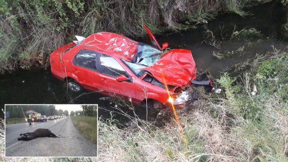 Chocaron contra una yegua en la Ruta 151 y cayeron en el desagüe
