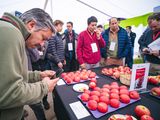 Las olas de calor ya están afectando la calidad de la fruta y la rentabilidad del negocio, impulsando la búsqueda de nuevas tecnologías y variedades más resistentes.