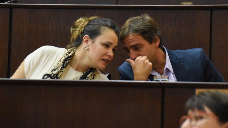 Diputados del quiroguismo impulsaron el proyecto en la Legislatura.