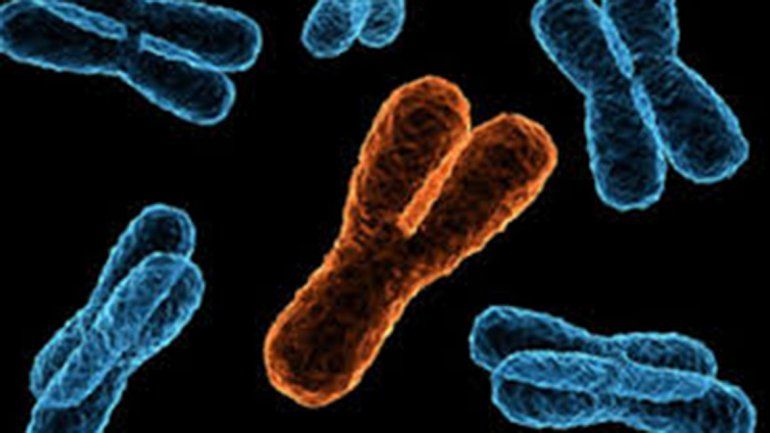 Soy cromosómicamente mujer, me siento mujer, me amo mujer, me cuido mujer