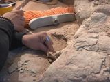 El el primer día del streaming del Conicet en tierras rionegrinas tuvo el primer descubrimiento.