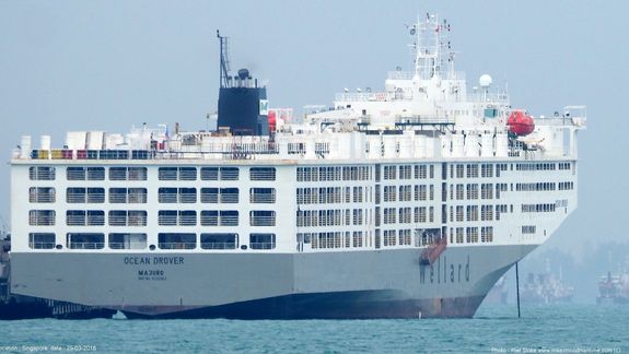 Conocé el coloso del mar que mueve millones de cabezas de ganado por el mundo