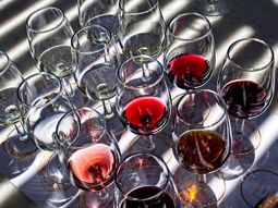 Aluden especialmente a una condición liviana de tono. Aluden especialmente a una condición liviana de tono.