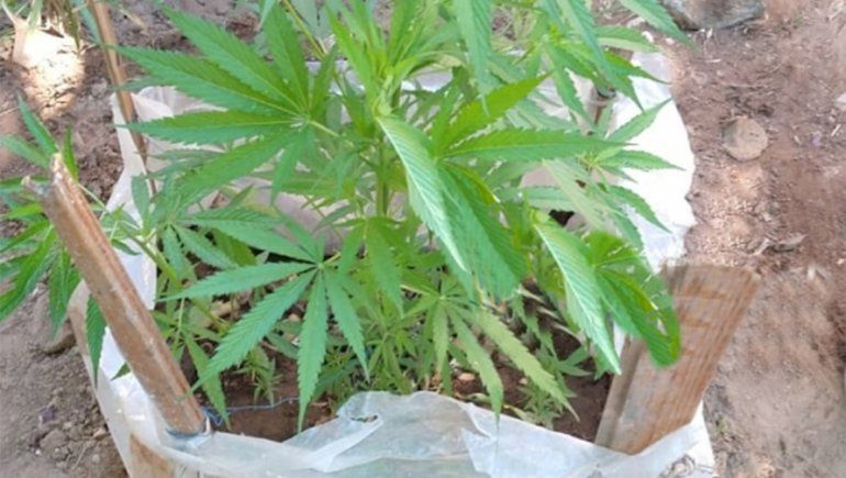 Socotroco quedó vinculado al tiroteo en Hipódromo