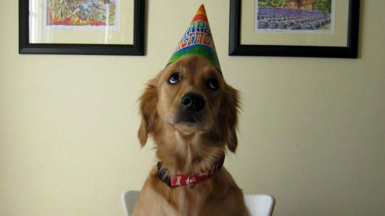 No les agrada que los trates como hijos