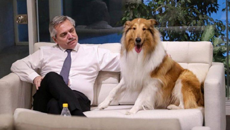 El cumpleaños de Dylan, el perro del Presidente, es viral