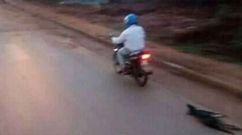 Crueldad sin límites: ató a un perro a la moto y lo arrastró hasta matarlo
