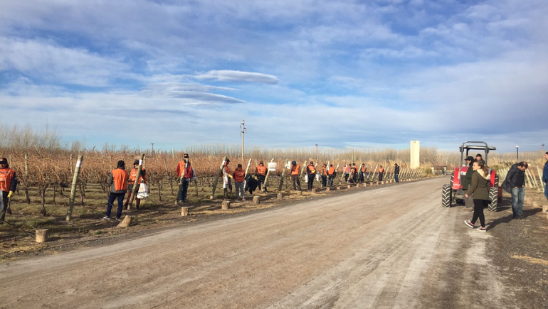 Las tijeras Bahco darán garantía de éxito al concurso de poda