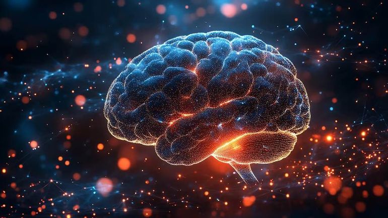 El alcohol impacta claramente en las funciones mentales como el sueño. El alcohol impacta claramente en las funciones mentales como el sueño.