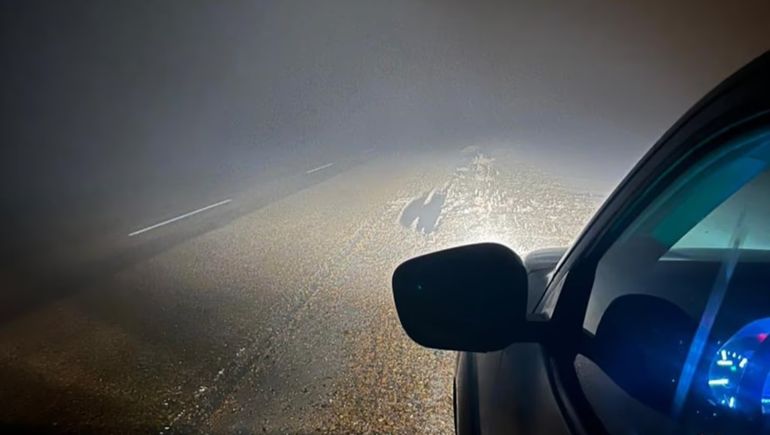 Por la niebla
