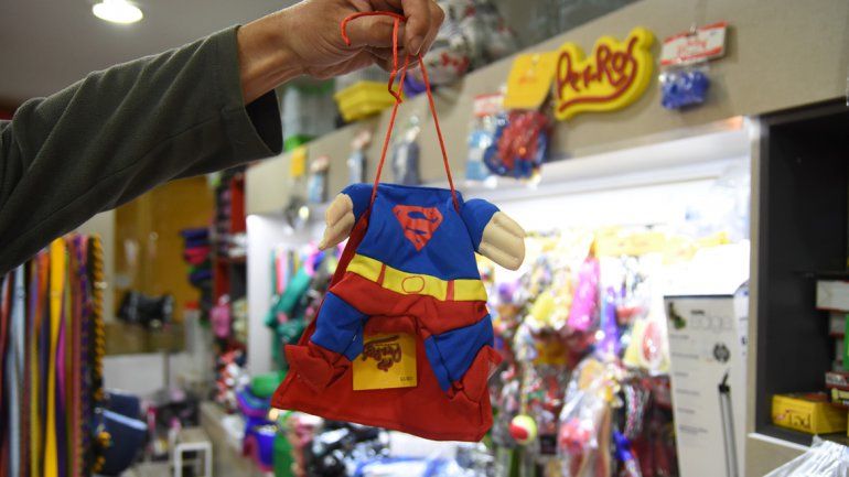 Las mascotas son cada vez más humanizadas: ahora tienen chalecos