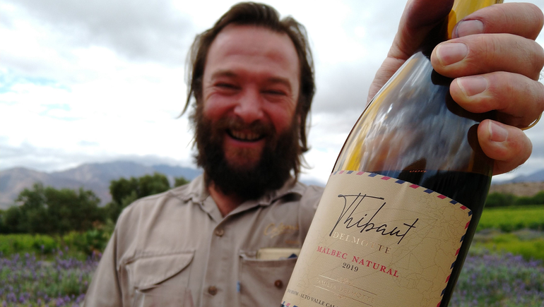 Doce tintos naturales para probar los vinos sin sulfitos añadidos