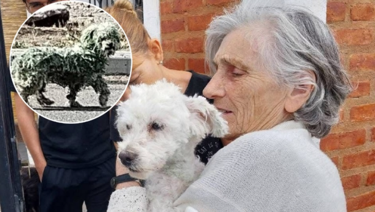 El caniche ya recuperado y con su dueña en Trelew. El caniche ya recuperado y con su dueña en Trelew. 