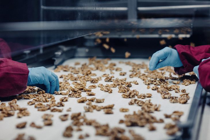 La mayor parte de la producción, se orienta a la exportación. La mayor parte de la producción, se orienta a la exportación.