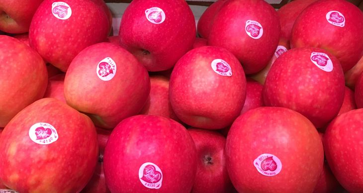 La industria chilena de la manzana apuesta por variedades de mayor valor agregado, donde Pink Lady seguirá consolidándose como uno de los principales referentes premium. La industria chilena de la manzana apuesta por variedades de mayor valor agregado, donde Pink Lady seguirá consolidándose como uno de los principales referentes premium.