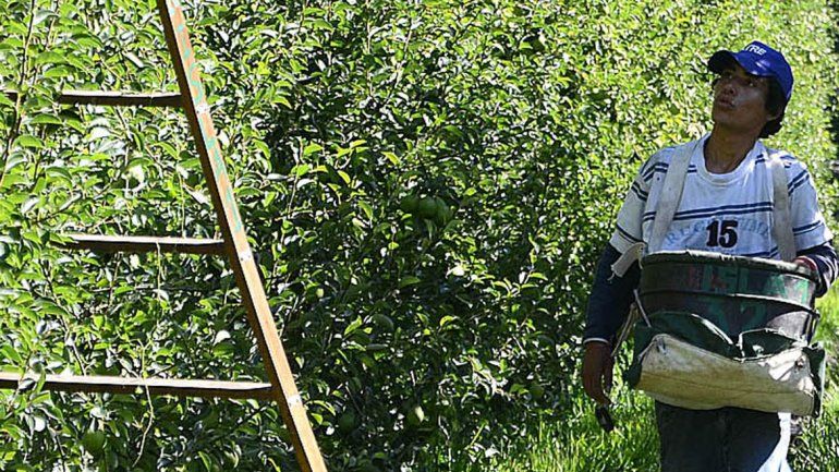 Aprobaron la iniciativa para ampliar los beneficios de los productores