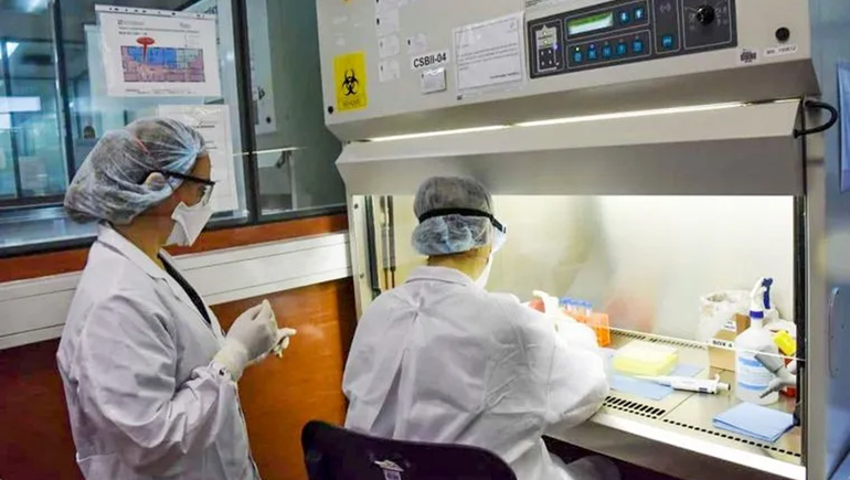 Se detectó el primer brote del súper hongo Candida auris en Argentina