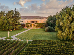 Panorámica de la bodega centenaria se presenta a concurso prevetivo. Panorámica de la bodega centenaria se presenta a concurso prevetivo.