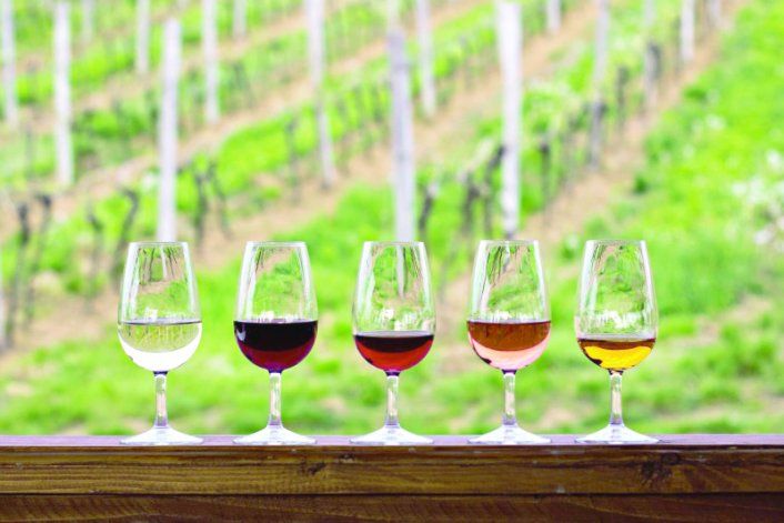 Pinot Noir, la cepa que ya se afianzó en el público joven de Neuquén